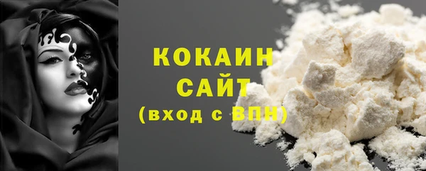 твердый Абаза