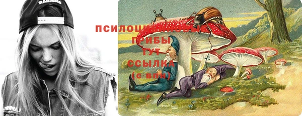 эйфоретик Алзамай