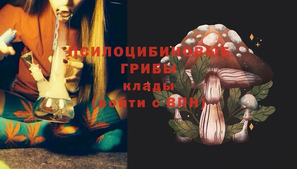эйфоретик Алзамай