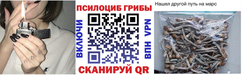 Галлюциногенные грибы Psilocybe  мега ONION  Копейск  сколько стоит 
