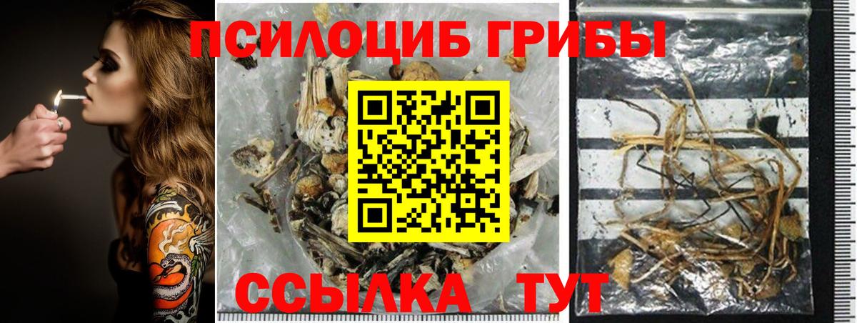 Псилоцибиновые грибы ЛСД Копейск